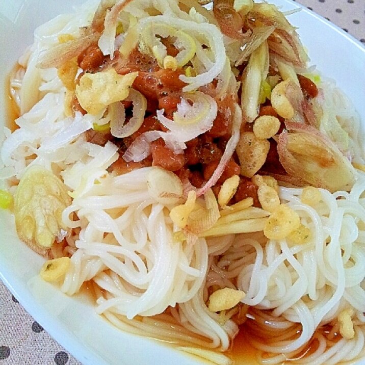 納豆と薬味たっぷり✿ぶっかけ素麺❤